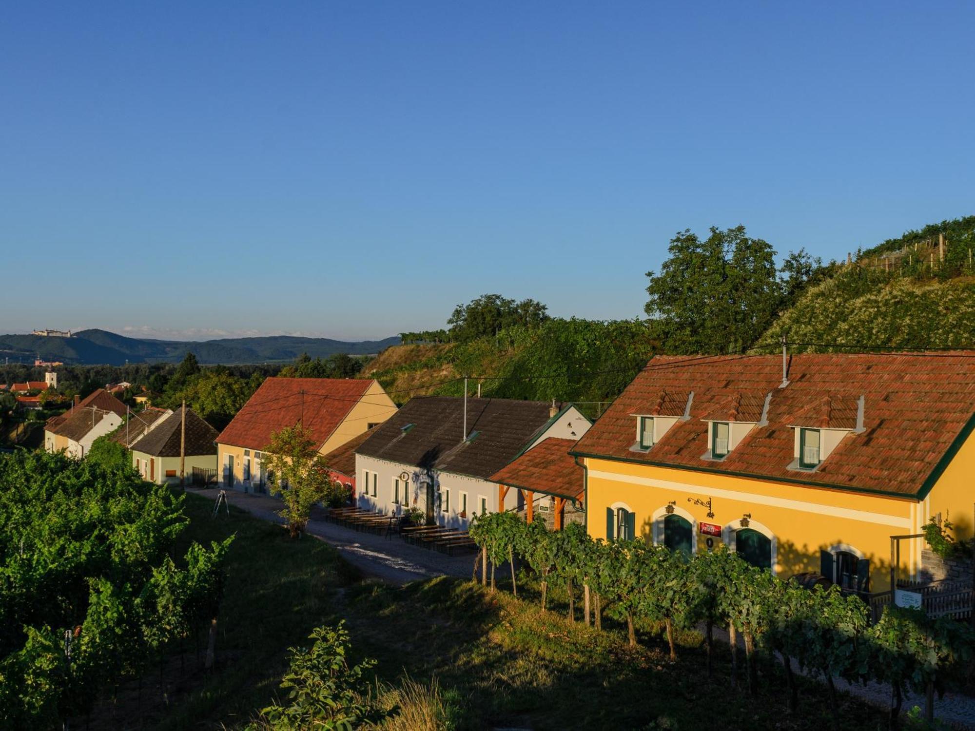 Gaestehaus Familie Trachsler Rohrendorf bei Krems Exterior foto