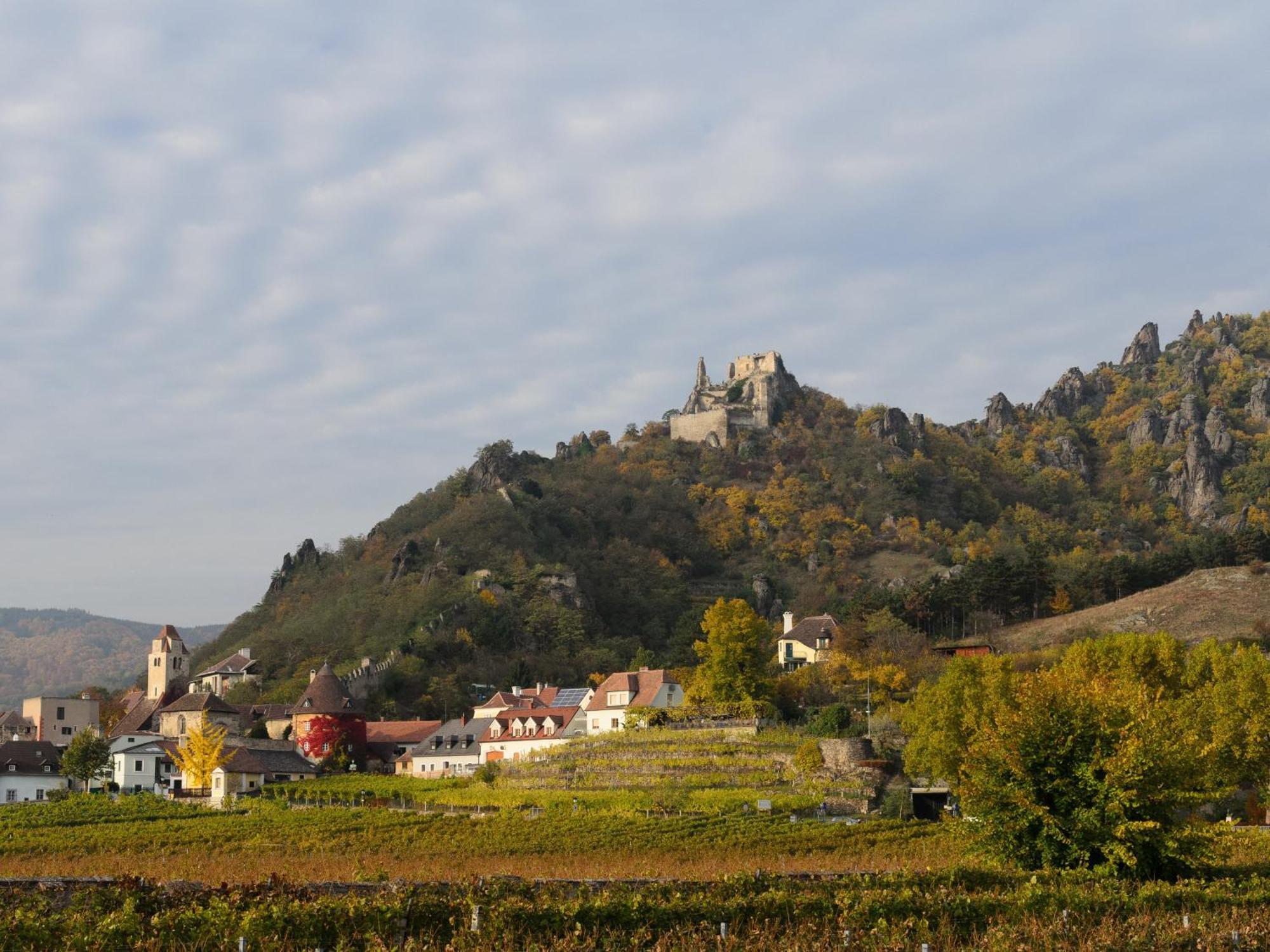 Gaestehaus Familie Trachsler Rohrendorf bei Krems Exterior foto